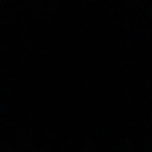 Meet your Posher, Sacha